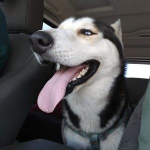 Meet your Posher, It's a